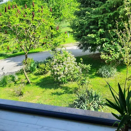 Apartment House Under The Maple Tree *