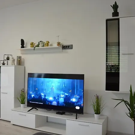 House Under The Maple Tree