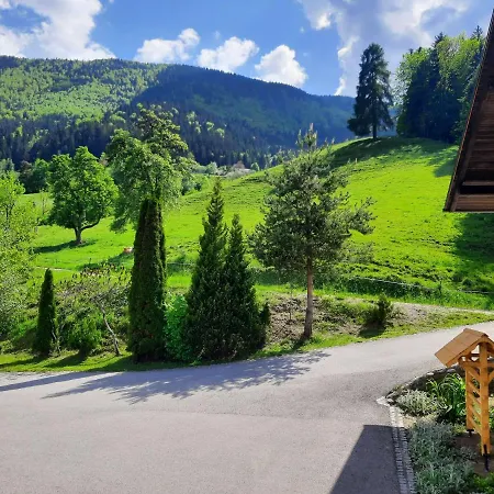 House Under The Maple Tree *