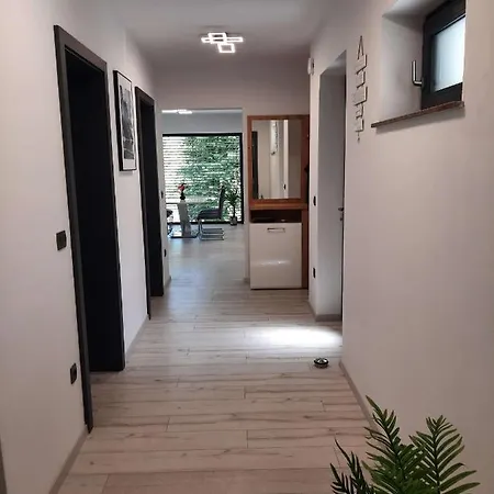 House Under The Maple Tree * Vitanje