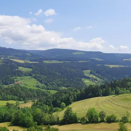 House Under The Maple Tree