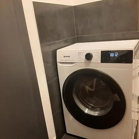 Apartment House Under The Maple Tree *