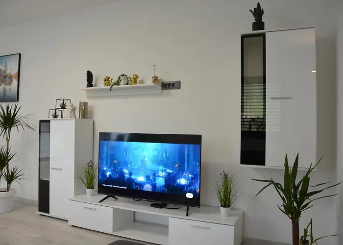 House Under The Maple Tree