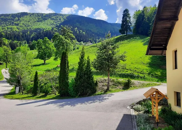 House Under The Maple Tree *