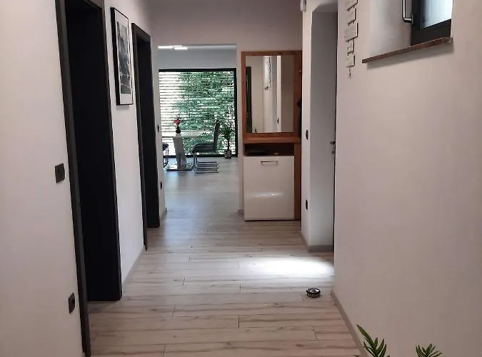 House Under The Maple Tree * Vitanje