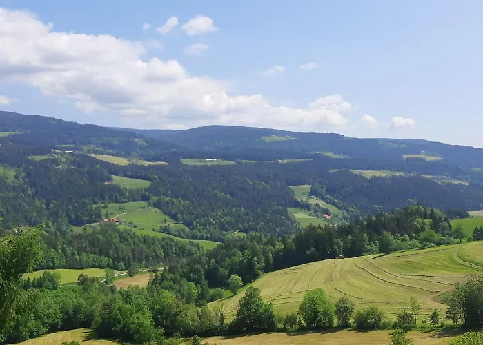 House Under The Maple Tree
