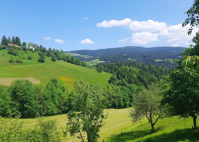 דירה House Under The Maple Tree Vitanje
