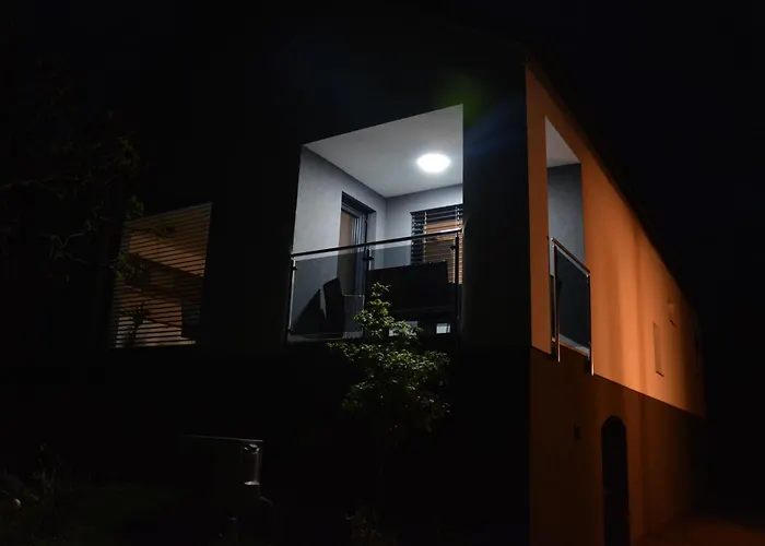 House Under The Maple Tree *