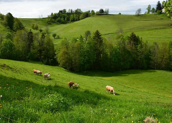 House Under The Maple Tree Apartamento